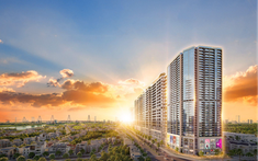 Lợi nhuận Sunshine Group đạt 41,9 tỷ trong quý I/2025