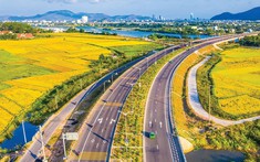 Bình Định lập quy hoạch Trung tâm dịch vụ kho vận logistics tại Quốc lộ 19 (mới)