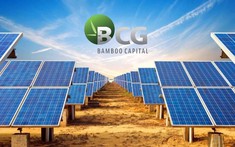 Bamboo Capital lý giải chậm báo cáo tài lich bong da truc tiep