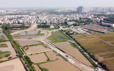 Hà Nội giao 10.000 m2 đất ở Long Biên làm biệt thự thấp tầng