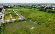 Hà Nội mở phiên đấu giá 102 lô đất vùng ven, giá khởi điểm chỉ từ 1,2 triệu đồng/m2