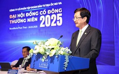 Lý do các cổ đông lớn đăng ký bán gần 19 triệu cổ phiếu Novaland