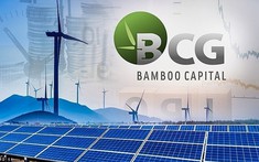 Bamboo Capital tiếp tục biến động nhân sự cấp truc tiep bong da c1