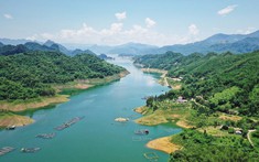 Hòa Bình phê duyệt chuyển đổi 60 ha đất rừng, mở đường cho ba khu đô thị sinh thái nghìn tỷ