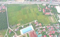 Hải Dương giao hơn 8,2 ha đất cho doanh nghiệp thực hiện dự án nhà ở gần 200 tỷ