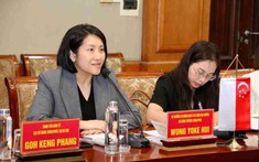 Singapore tìm cơ hội đầu tư sâu hơn vào Hải Phòng