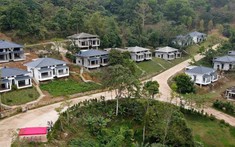 Hòa Bình cho phép chuyển đổi hơn 3,5ha đất rừng phát triển khu biệt thự nhà vườn, du lịch sinh thái gần 800 tỷ đồng
