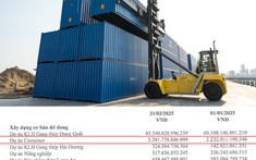 Container “made in Vietnam” có gì mà lại được nhiều doanh nghiệp logistics săn đón?