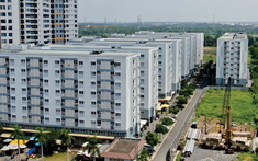Vay mua nhà cho người trẻ: Lãi suất giảm, điều kiện dễ hơn, cần lưu ý điều gì?