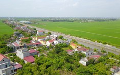 Nam Định sắp đấu giá gần 500 lô đất, giá khởi điểm từ 5 triệu/m2