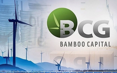 Phó Chủ tịch Điều hành Bamboo Capital từ nhiệm