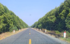 Bất động sản 24h: Cà Mau sẽ khởi công tuyến cao tốc đi Đất Mũi trong tháng 8
