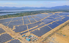 Bamboo Capital bổ nhiệm lãnh đạo sinh năm 1995 vào vị trí quản trị cấp cao