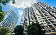 Chung cư Hà Nội vào "guồng": Sóng mở bán lan tỏa, lộ diện độ tuổi khách hàng đang dẫn nhịp