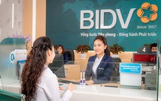 Chính phủ ban hành Nghị định mới về quản lý vốn, tài sản của các tổ chức tín dụng