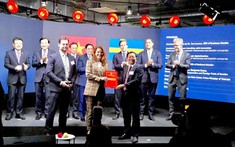 Bình Định trao Giấy chứng nhận đăng ký đầu tư cho dự án 1 tỷ USD