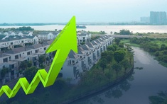 Dự án được gỡ vướng về quy hoạch, cổ phiếu Novaland bật tăng cao nhất trong hơn một năm qua