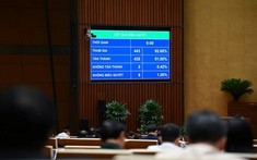 Chính thức luật hóa Nghị quyết 42: Ngân hàng được quyền thu giữ tài sản đảm bảo khi xử lý nợ xấu