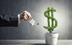 Có 100 triệu, đầu tư thế nào để sinh lời an toàn năm 2025?