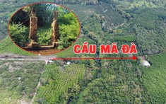 Đồng Nai phê duyệt chủ trương đầu tư xây dựng cầu Mã Đà
