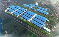 Hải Phòng chuyển đổi hơn 32 ha đất lúa để phát triển cụm công nghiệp