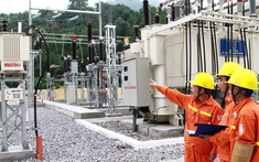 Một công ty ra thông báo sau khi toàn bộ Hội đồng quản trị đồng loạt từ nhiệm