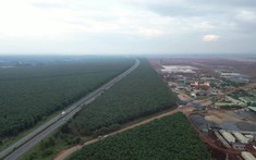 Đồng Nai thu hồi hi88 hi880 24ha đất để làm dự án đường dẫn nhiên liệu sân bay Long Thành