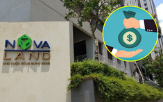 Novaland sắp họp bất thường: Số nợ 2.645 tỷ đồng sẽ được hoán đổi thành cổ phiếu