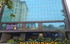 Thaiholdings báo lãi quý 2/2025 giảm hơn 33%