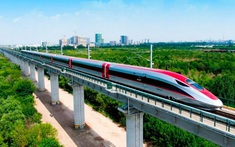 Gia Lai dự kiến khởi công 4 khu tái định cư vào ngày 19/8