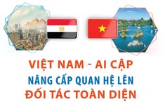 Việt Nam – Ai Cập nâng cấp quan hệ lên đối tác toàn diện, hướng tới mục tiêu kim ngạch 1 tỷ USD
