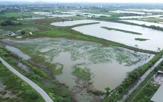 Hà Nội mở đợt 3 mời doanh nghiệp làm nhà ở thương mại