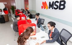 Một ngân hàng sắp chia cổ tức 20% bằng cổ phiếu, tăng mạnh vốn điều lệ lên hơn 31.000 tỷ đồng