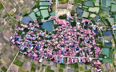 Bắc Ninh giao hơn 1,15 ha đất cho Mai Vàng triển khai dự án khu đô thị tại Lạng Giang