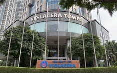 Viglacera tái cấu trúc mảng bất động sản, chuẩn bị mô hình tổ chức mới trước cuối năm 2025