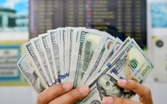 USD giảm giá sau khi ông Trump sa thải Thống đốc Fed Lisa Cook