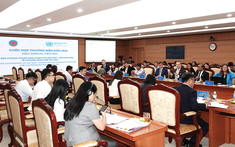 Liên Hợp Quốc đề xuất tái cấu trúc hợp tác, hỗ trợ Việt Nam vượt “bẫy thu nhập trung bình”