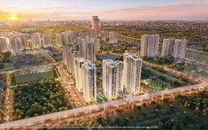 The London: Phân link bong da truc tiep tại The Metropolitan - Vinhomes Ocean Park 1 Hà Nội