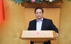 Thủ tướng: Phải có chế tài xử lý các dự án được cấp phép, cấp đất nhưng không đầu tư