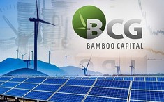 HOSE đưa Cổ phiếu BCG của Bamboo Capital vào diện cảnh báo