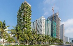 Công ty CP CHIC-LAND bị xử phạt gần 570 triệu đồng