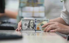 Tỷ giá USD/VND giảm nhẹ, lãi suất VND “hạ nhiệt” trong tuần 8–12/9