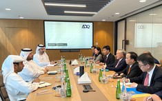 Phó Thủ tướng: Đề nghị UAE hỗ trợ Việt Nam xây trung tâm tài chính quốc tế