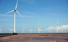 Vĩnh Long khởi động 4 dự án nhà máy điện gió hơn 11.000 tỷ đồng