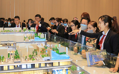 Đề xuất lập trung tâm giao dịch bất động sản, đất đai tập trung để chống đầu cơ