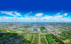 Điều kiện hộ kinh doanh, cá nhân thực hiện dự án xanh, tuần hoàn được hỗ trợ lãi suất theo đề xuất mới?