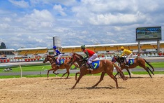 Kinh doanh đặt cược đua ngựa, bóng đá quốc tế... theo đề xuất mới