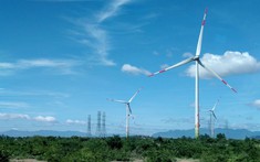 Đẩy nhanh tiến độ triển khai dự án 3.500 tỷ đồng tại Quảng Ngãi