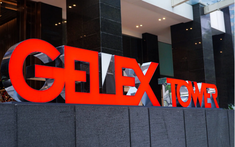 Mẹ CEO Gelex nâng sở hữu, mạnh tay rót gần 700 tỷ đồng khi cổ phiếu GEX lập đỉnh mới