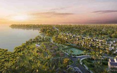 Đạt Phương lên kế hoạch chào bán gần 18 triệu cổ phiếu riêng lẻ để bổ sung vốn và đầu tư dự án